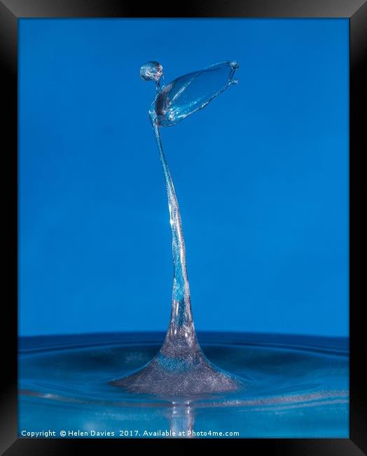 Blue silver angel water drop Framed Print by Helen Davies