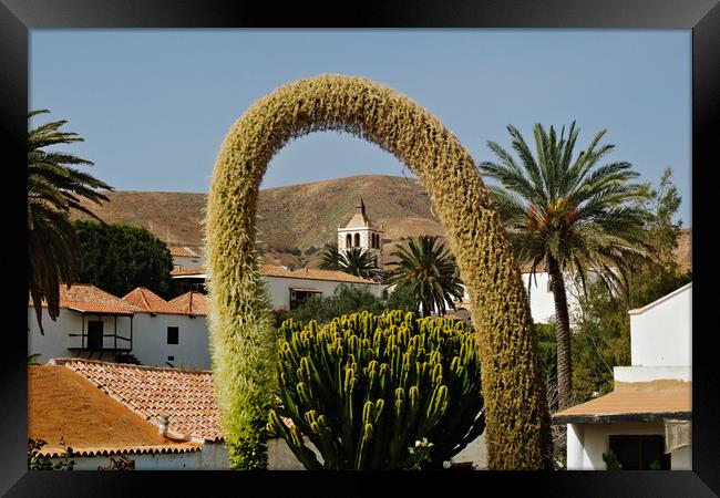 Betancuria, Fuerteventura Framed Print by Ashley Wootton