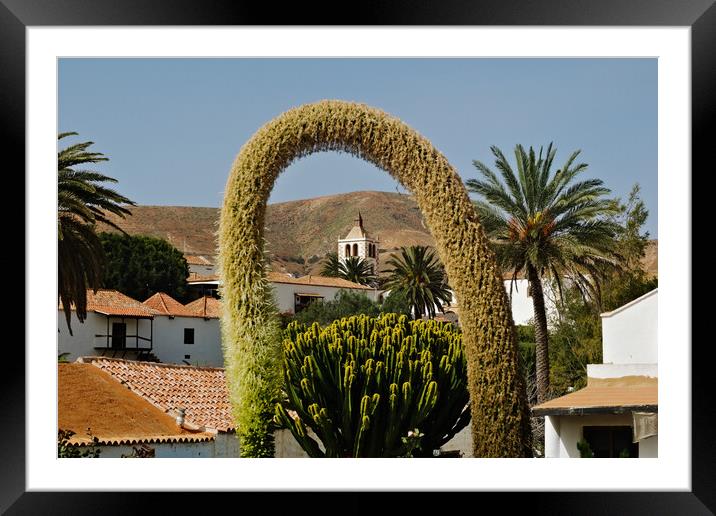 Betancuria, Fuerteventura Framed Mounted Print by Ashley Wootton
