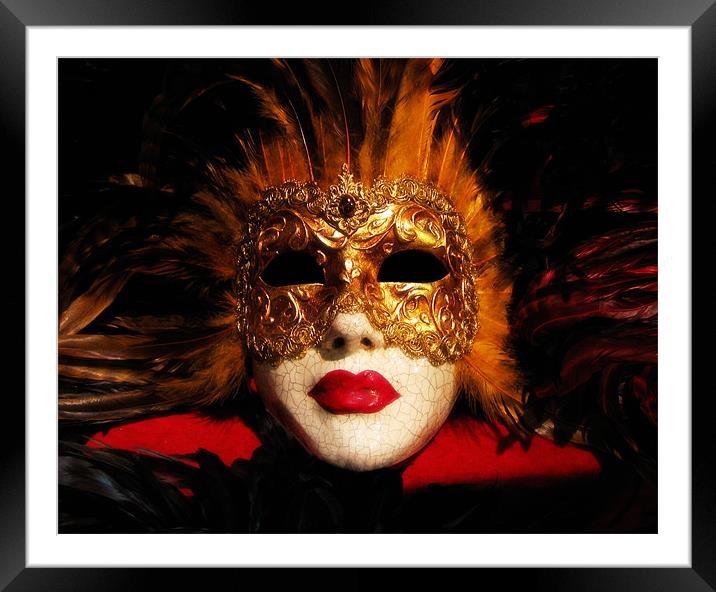 Venetian mask Framed Mounted Print by Linda More