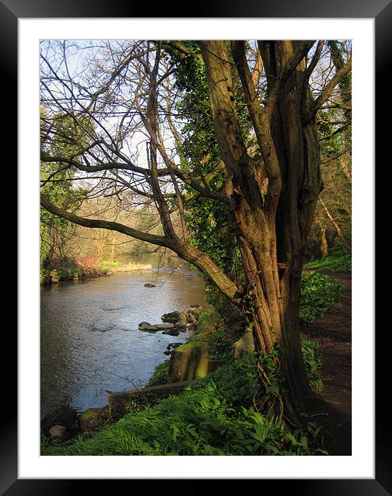River Almond, Edinburgh, Scotland Framed Mounted Print by Linda More