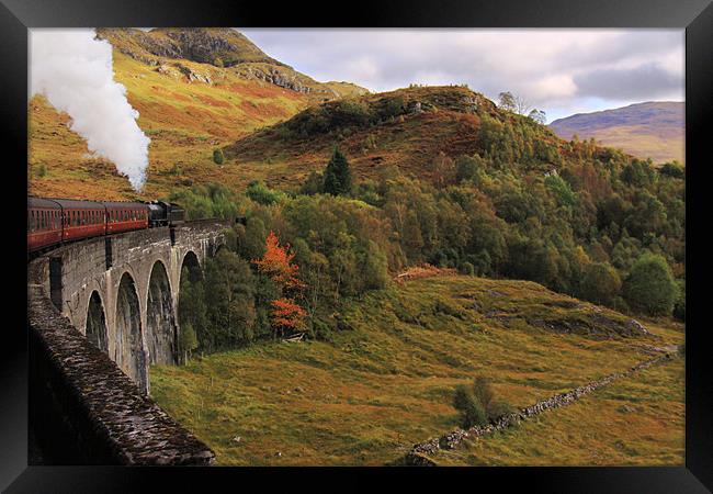 Steam train on Glenfinnan Viaduct Scotland Framed Print by Linda More
