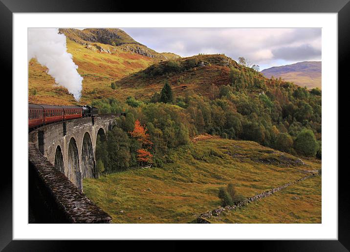 Steam train on Glenfinnan Viaduct Scotland Framed Mounted Print by Linda More