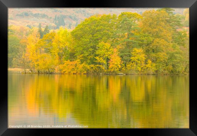 Autumn Trees at Rydal Water Framed Print by Jill Bramley