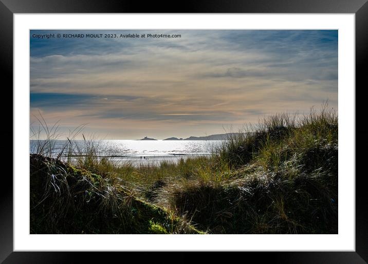 Swansea Bay and Mumbles bathed in Winter sunshine Framed Mounted Print by RICHARD MOULT