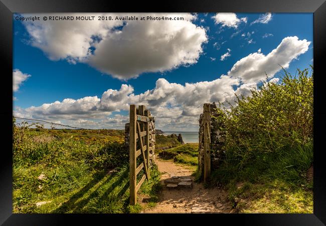 Gower Gateway Framed Print by RICHARD MOULT