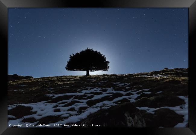 Lone tree under moonlight Framed Print by Craig McComb