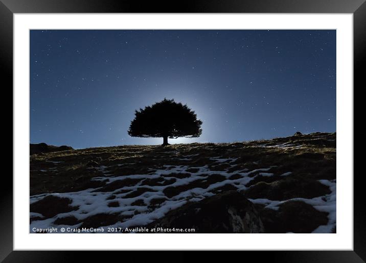 Lone tree under moonlight Framed Mounted Print by Craig McComb