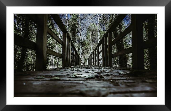Footbridge leading to the forest Framed Mounted Print by Juan Ramón Ramos Rivero