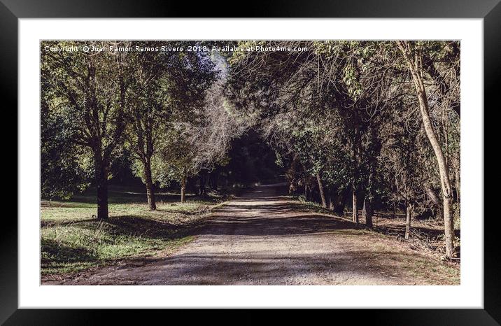 Road between the trees Framed Mounted Print by Juan Ramón Ramos Rivero