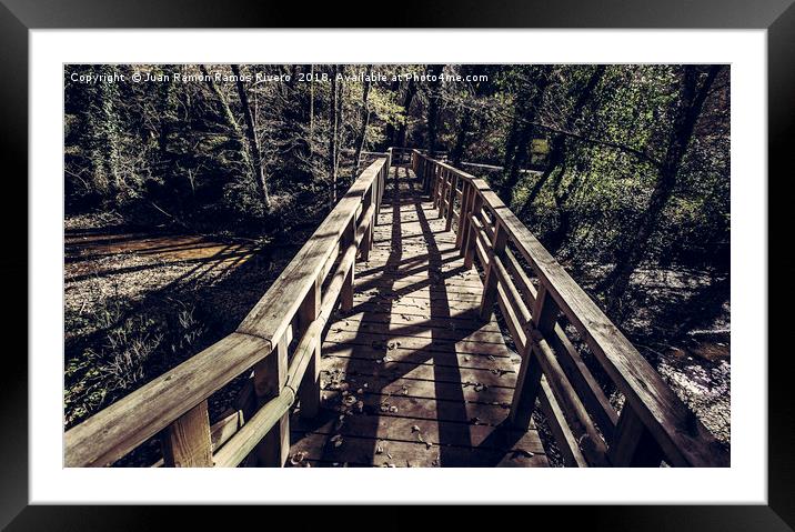 Footbridge leading to the forest Framed Mounted Print by Juan Ramón Ramos Rivero