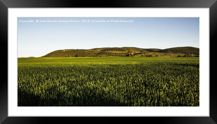 Wheat fields Framed Mounted Print by Juan Ramón Ramos Rivero
