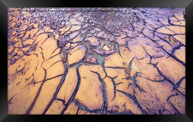 Dry and cracked ground texture of yellow and purpl Framed Print by Juan Ramón Ramos Rivero