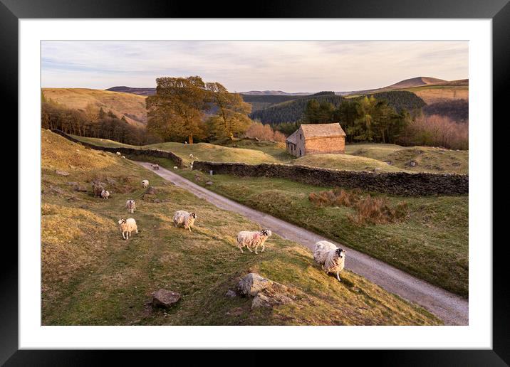 Springtime in the Peak District Framed Mounted Print by David Semmens