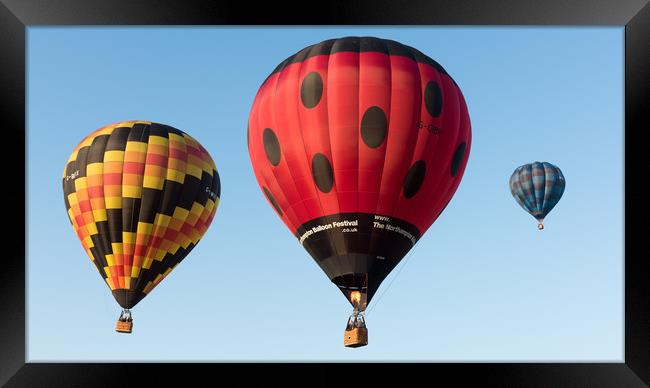 Balloon Rides Framed Print by David Semmens