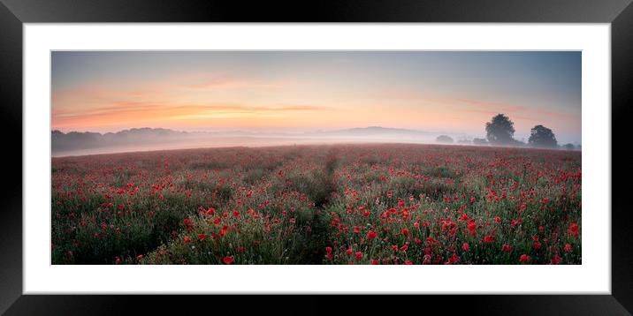 Poppy Perfection Framed Mounted Print by David Semmens