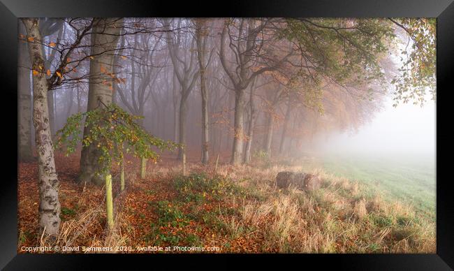 Autumn Mist Framed Print by David Semmens