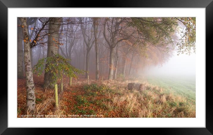 Autumn Mist Framed Mounted Print by David Semmens