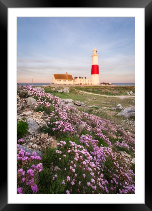 Portland Bill Framed Mounted Print by David Semmens