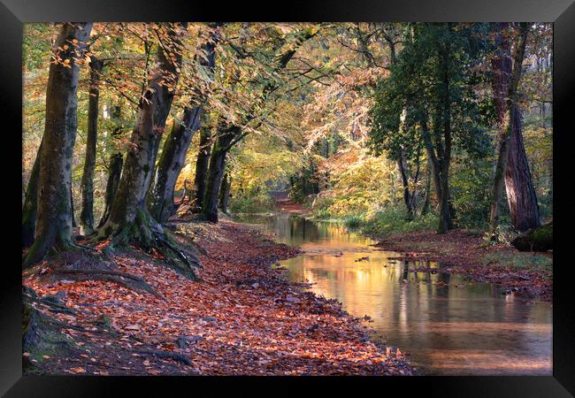 Roman Road in Dorset Framed Print by David Semmens