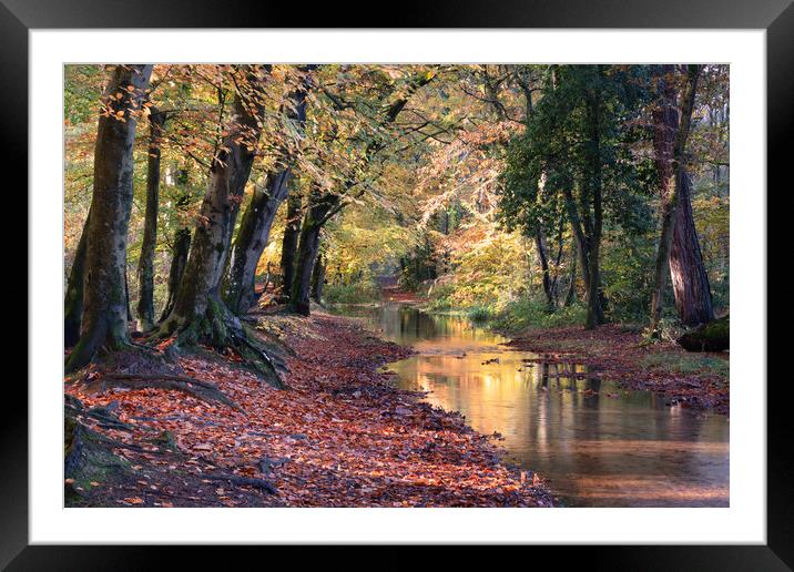 Roman Road in Dorset Framed Mounted Print by David Semmens