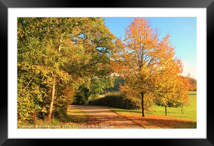 Autumn Country Lane in Hampshire  Framed Mounted Print by Geoff Richards