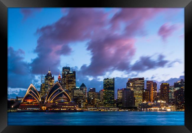 Sydney Australia city skyline Framed Print by Andrew Michael