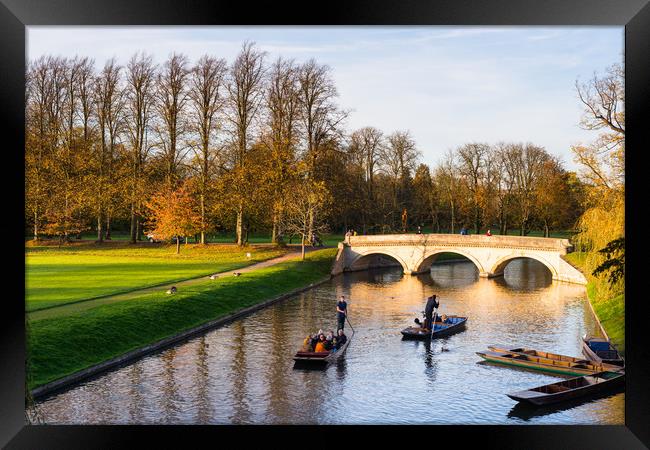 Punting on river Cam Framed Print by Andrew Michael