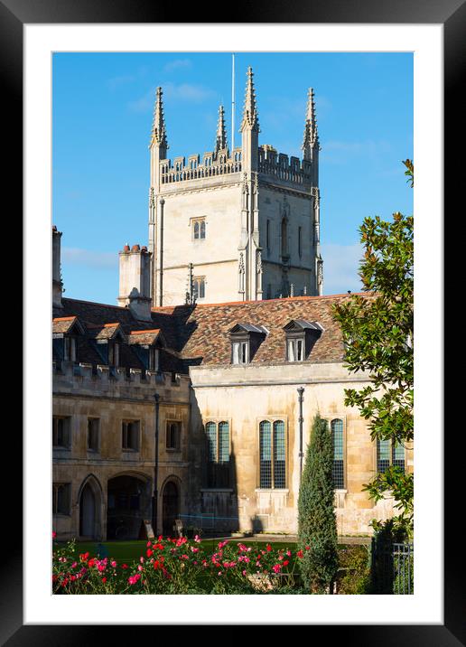 Pembroke College with the Pitt Building Framed Mounted Print by Andrew Michael