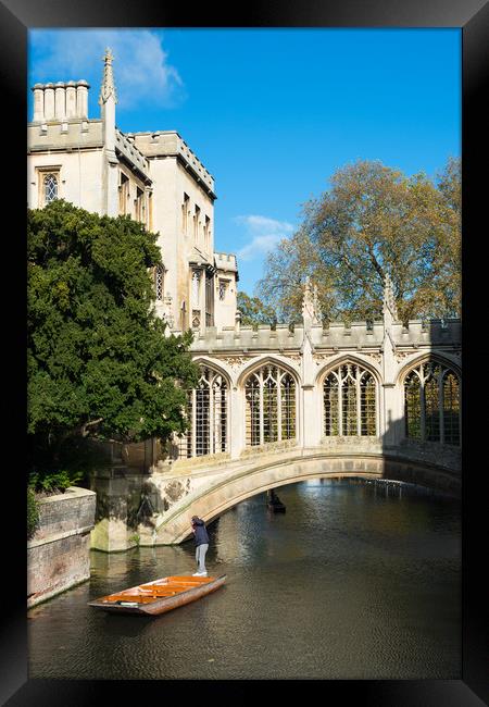Punting under the Bridge of Sighs Framed Print by Andrew Michael