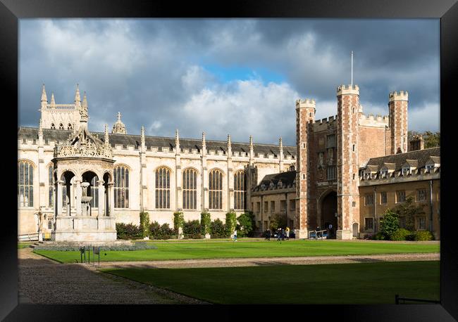 Trinity College Great Court Framed Print by Andrew Michael