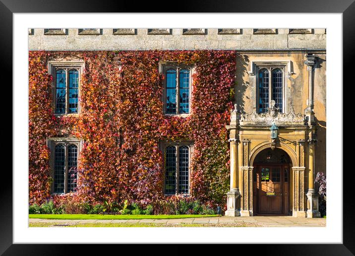 Trinity College Great Court building with ivy Framed Mounted Print by Andrew Michael