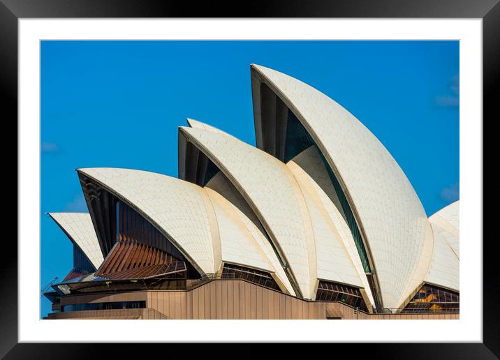 Sydney Opera house Framed Mounted Print by Andrew Michael