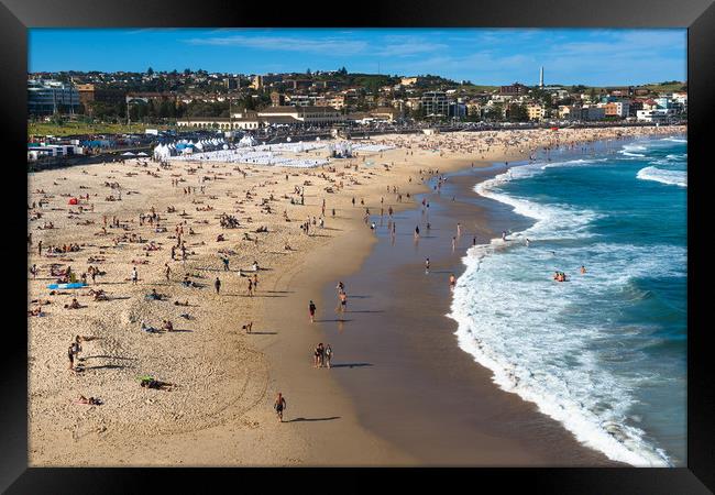 Bondi Beach on a summer's day Framed Print by Andrew Michael