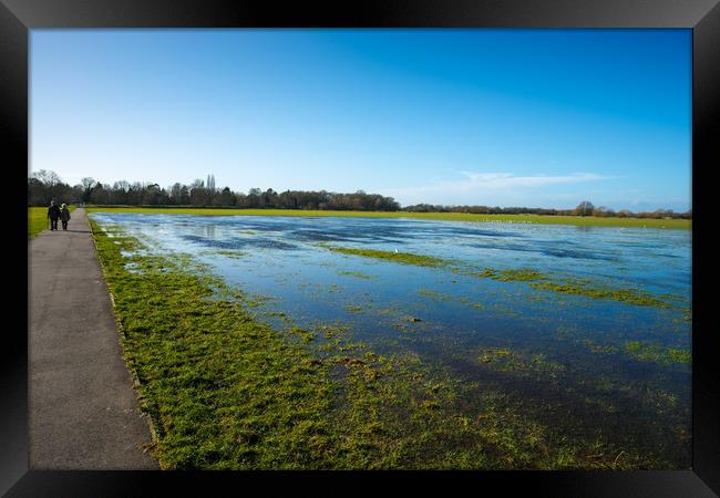 Flooded meadow  Framed Print by Andrew Michael