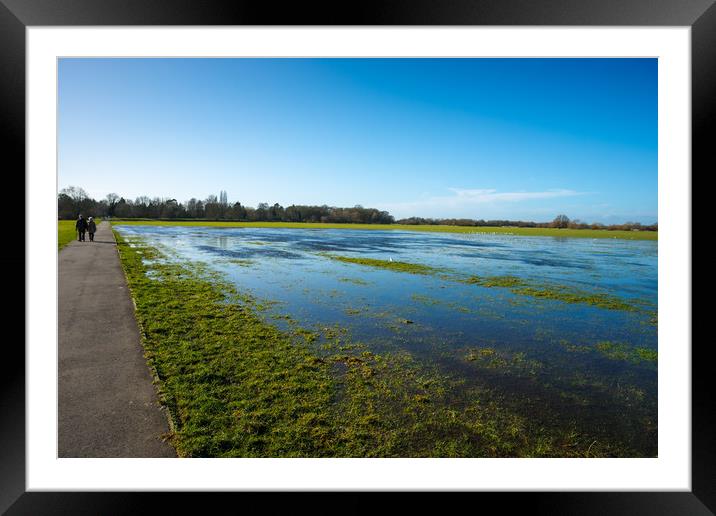 Flooded meadow  Framed Mounted Print by Andrew Michael