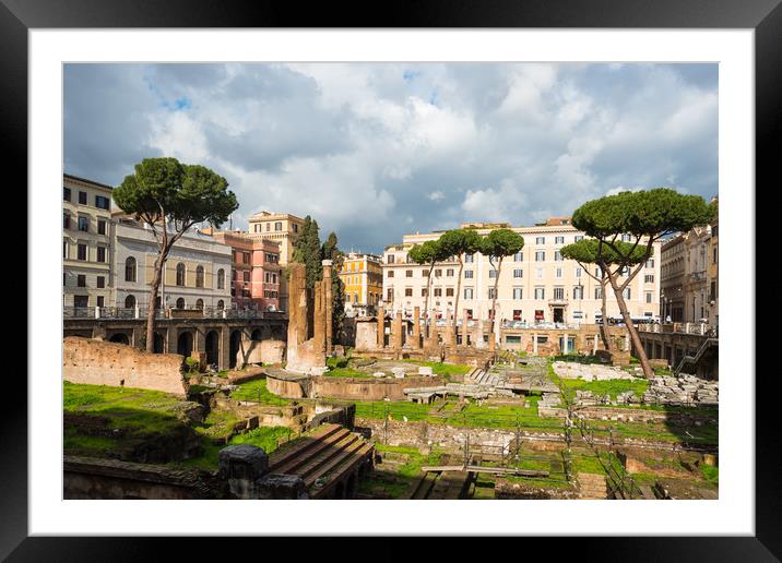 Largo di Torre Argentina Framed Mounted Print by Andrew Michael