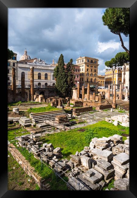 Largo di Torre Argentina  Framed Print by Andrew Michael