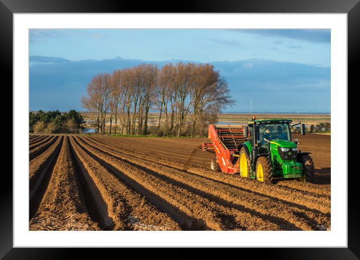 Norfolk tractor in a field Framed Mounted Print by Andrew Michael