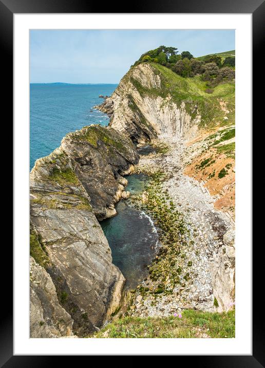 Stair Hole at Lulworth Cove Framed Mounted Print by Andrew Michael