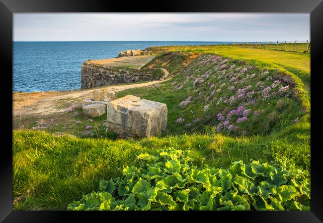 Portland Bill coast with quarried stone Framed Print by Andrew Michael