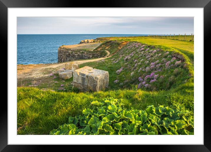 Portland Bill coast with quarried stone Framed Mounted Print by Andrew Michael
