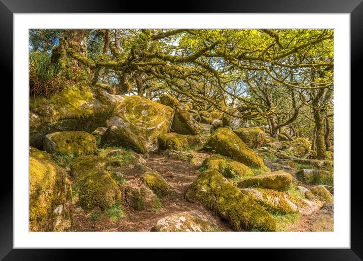 Wistmans Wood Dartmoor Framed Mounted Print by Andrew Michael