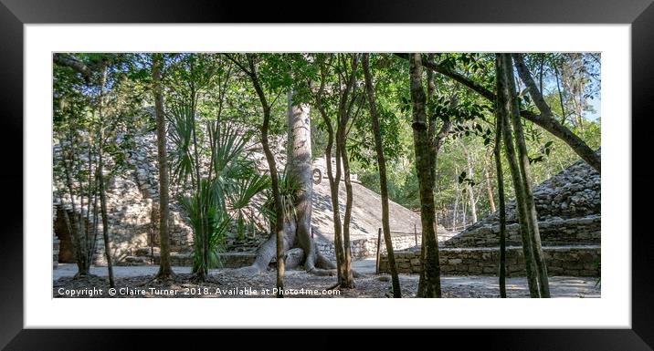 Mayan ruins at Coba Framed Mounted Print by Claire Turner