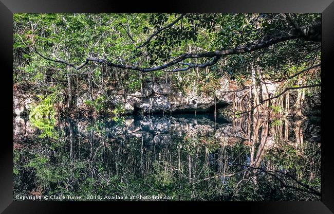 Cenote Angelita Framed Print by Claire Turner