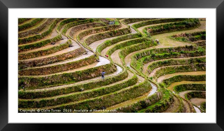 Rice terraces in China Framed Mounted Print by Claire Turner