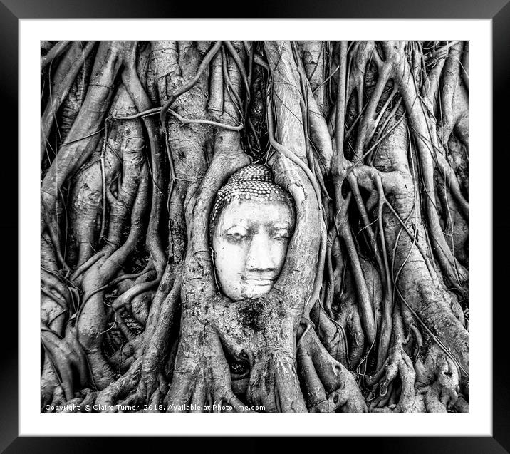 Ayutthaya Buddha head in tree Framed Mounted Print by Claire Turner