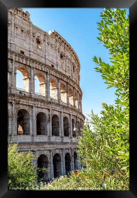 Colosseum seen through the trees Framed Print by Claire Turner