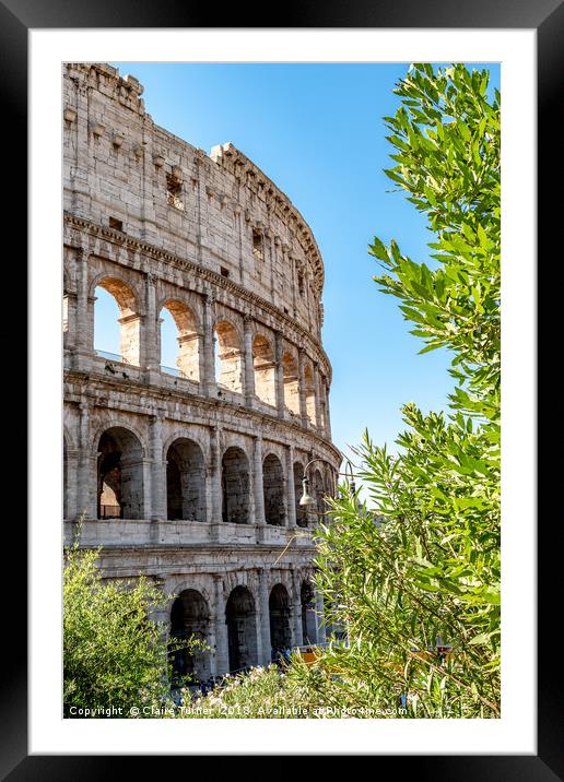 Colosseum seen through the trees Framed Mounted Print by Claire Turner