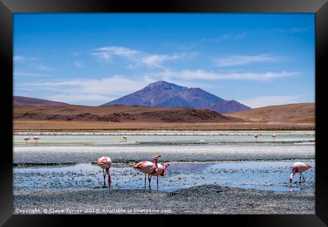 Bolivian wilderness Framed Print by Claire Turner